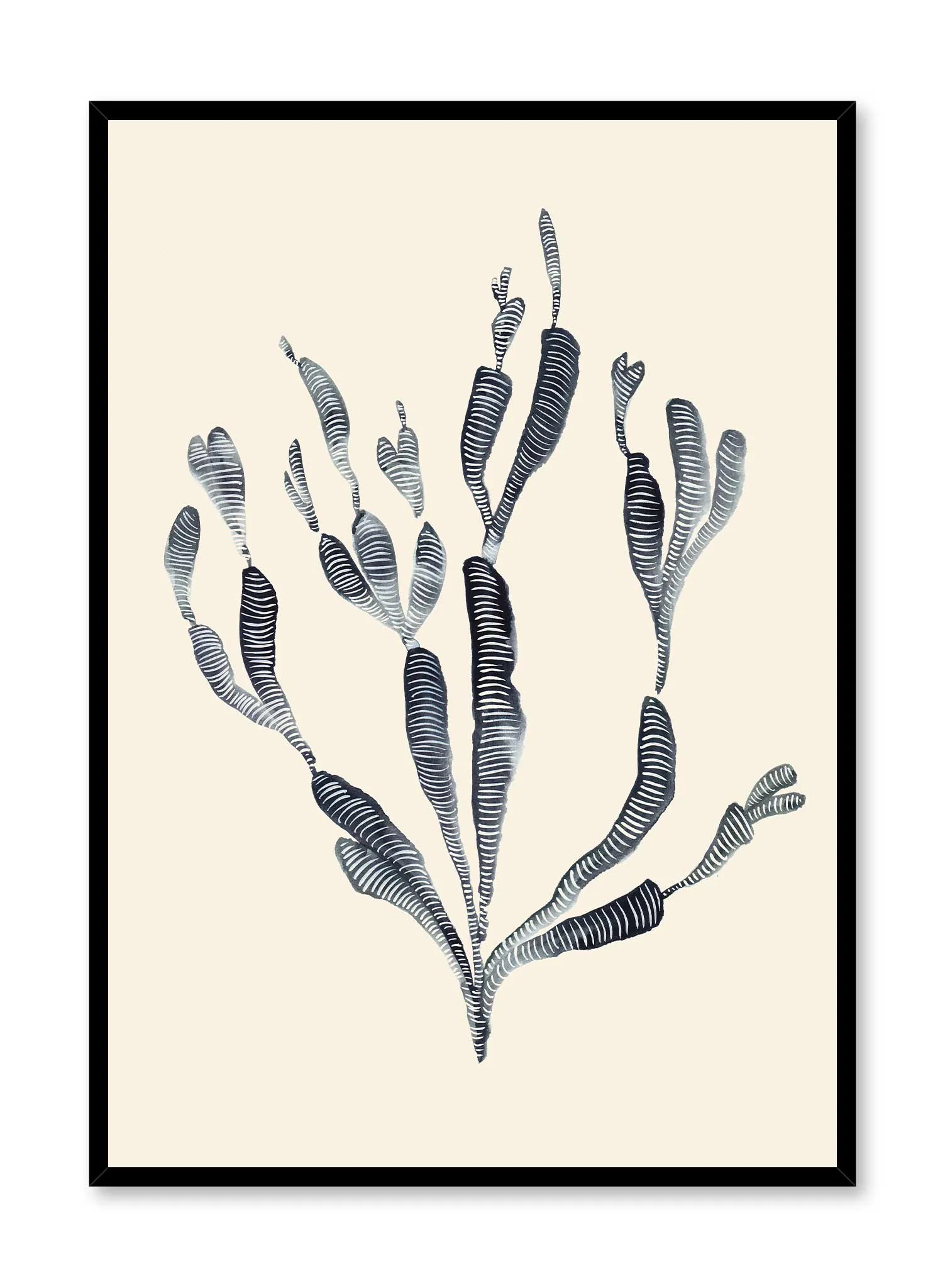 Acropora, Poster