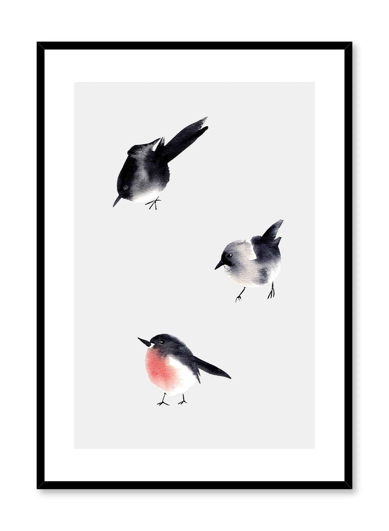 Birdies, Poster