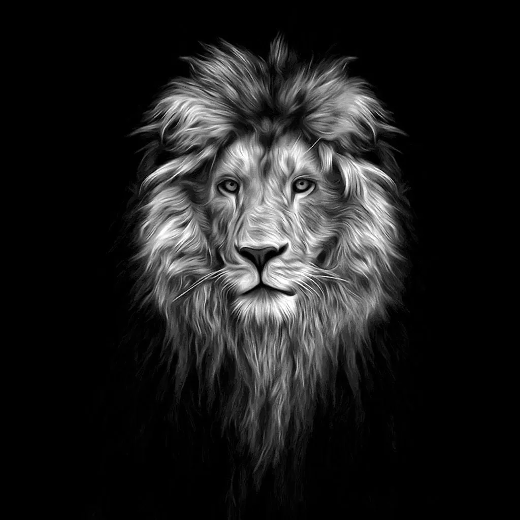 Black and White Lion Face