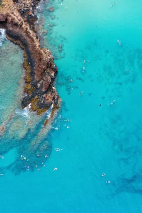 Black Rock Swimmers, Maui