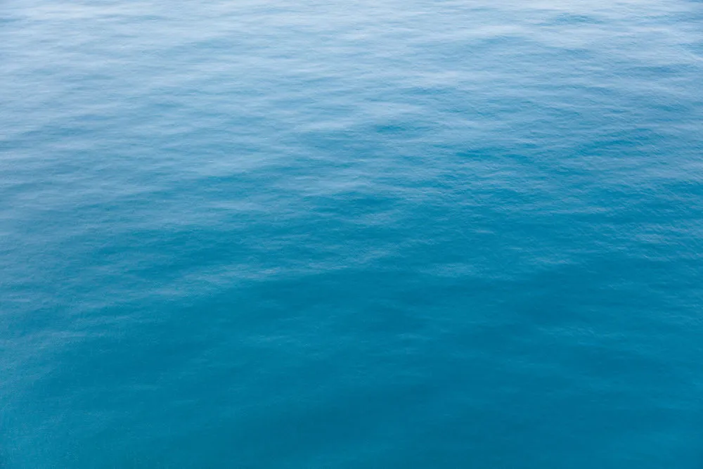 Blue Ocean, New Zealand