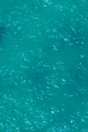 Bondi Surf Lifeguards Triptych