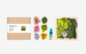 DIY Moss Art Kit