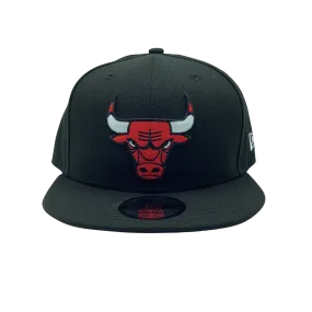 New Era CHICAGO BULLS