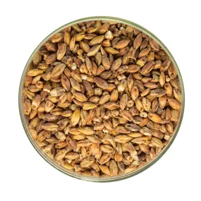 Special Roast Malt - Briess